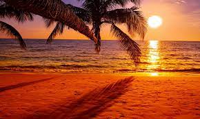 sunset beach stock photos images and