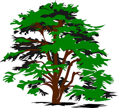 Free Family Tree Picture Freeuse Library Rr Collections