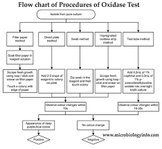 Oxidase Test Principle Uses Procedure Types Result