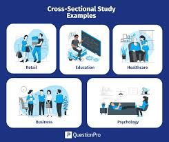 cross sectional study what it is