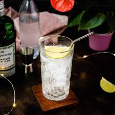 the complete guide to gin tonic