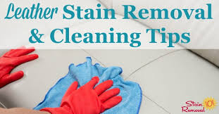 Leather Stain Removal Cleaning Tips And Hints