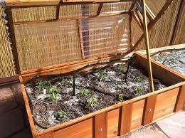 a raised bed garden with cold frame and