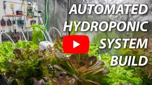 Automated Hydroponic System Build