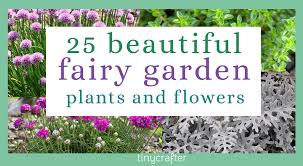 25 Best Fairy Garden Plants And Flowers