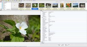 Download xnview for windows pc from filehorse. Viewing Exif Data With Xnviewmp