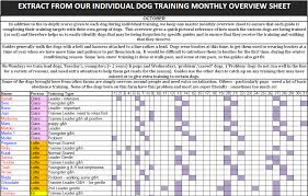 Training Methods And Records Hetta Huskies Dog Sledding