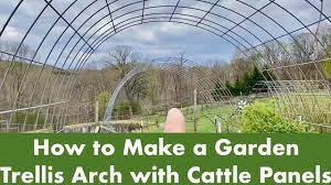 garden trellis arch with cattle panels