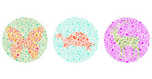Color Blindness Test Iristech