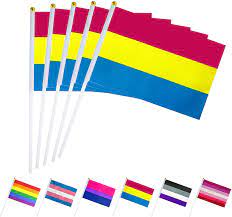 Lgbtq pride flags and symbols 3d glossy icons set vector. Amazon Com Lovevc 50 Pack Small Mini Pansexual Pan Pride Flag Lgbt Rainbow Stick Flags Banner Pansexual Rainbow Pride Party Decorations Supplies Garden Outdoor