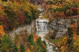 new york state fall guide fall
