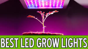 Best Led Grow Lights For Weed 2020 Reviews By Experts In
