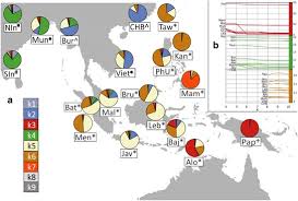 The best dna testing kits (updated 2021). Multi Layered Population Structure In Island Southeast Asians European Journal Of Human Genetics