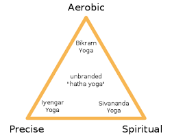 Yoga As Exercise Wikipedia