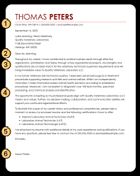 cover letter exles templates and