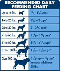 35 Exhaustive 4health Puppy Food Feeding Chart