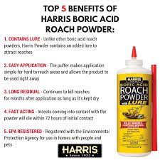 harris s group boric acid roach