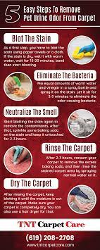 remove pet urine odor from carpet