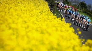 Aprile 8, 2021 post category: The Amstel Gold Race 2021 It Will Be 13 Laps Of 17 Kilometers Today24 News English
