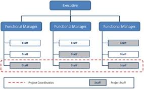 Organizational Structure Types For Project Managers