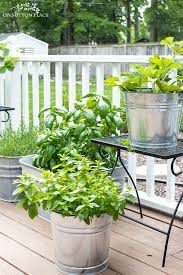 Midsummer Container Herb Garden On
