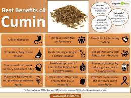 Cumin Seeds Powder Health Benefits And Substitute
