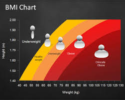 Free Bmi Chart Template For Powerpoint Free Powerpoint