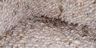are you finding holes in your carpet