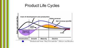 Case Study Business Cycle   Case Study Examples For Management Project