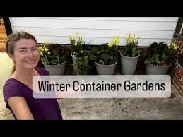 Winter Container Gardens