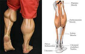 why calves are hard to grow and how to