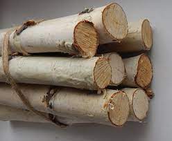 10 Birch Logs Wood Sticks Birch