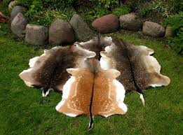 leather fallow deer rug tannery