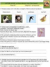 LECTURE SUIVIE : Le faucon déniché ( Jean-Côme Noquès) Couverture et  chapitre 1: Le nid - PDF Free Download