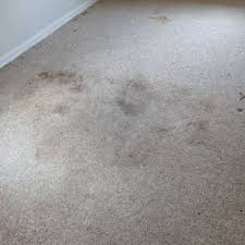 top 10 best apartment carpet cleaning