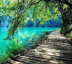 amazing nature bonito lake path
