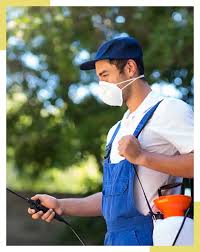 A free inside look at company reviews and salaries posted anonymously by employees. Pest Control Services Dallas Fort Worth Integrity Termite Pest Control