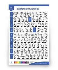 suspension exercises poster prohealthsys