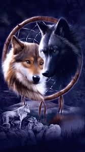 wolf pack dreamcatcher gif gifdb com