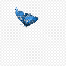 free transpa erfly png