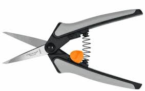 how to sharpen pruning tools 2024 guide