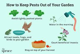 5 tips for keeping pests out of your garden