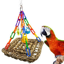 bird foragaing chew toys parrot