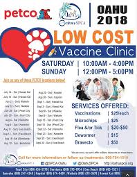 Cat & kitten vaccinations are essential to protect cat health & prevent avoidable problems from arising. Low Cost Vet Clinic Petco Picshealth