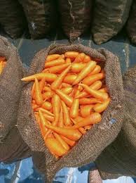 a grade tamilnadu orange carrot fresh