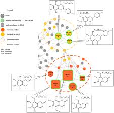 Dereplication of natural products from complex extracts by ...