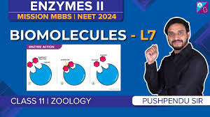 lipase enzyme its function types and