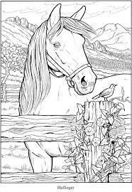 If you want to fill colors in herd of horses pictures & you can make it more beautiful by filling your imaginative colors. 6 Horse Coloring Pages Horse Coloring Pages Horse Coloring Books Animal Coloring Pages