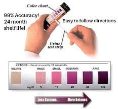 Urine Ketone Strips Ketone Test Strips Best For Ketogenic Paleo Diet Accurately Monitor Ketosis Bonus Keto Clean Ebook Emailed