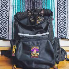Bubble backpacks were the original cat backpack that catapulted them into modern day consciousness via the instagram feeds of numerous dulcii pet carrier,cat dog puppy travel hiking camping. What Backpacks Are Best For Cats Adventure Cats